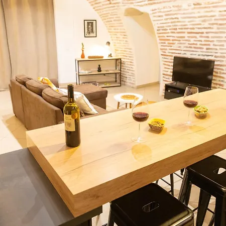 Le Rinaldi Loft * Albi