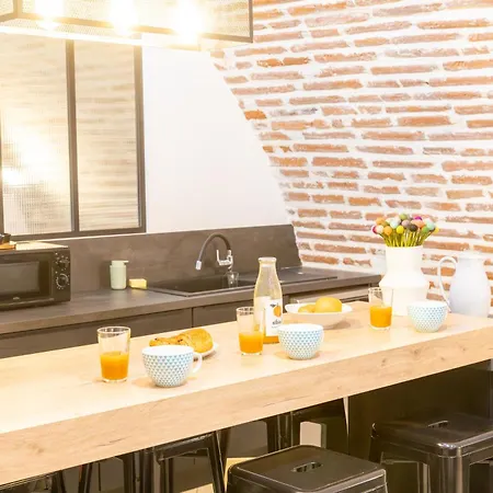 Le Rinaldi Loft * Albi