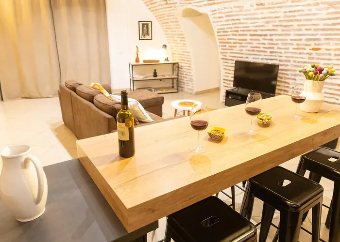 Le Rinaldi Loft * Albi