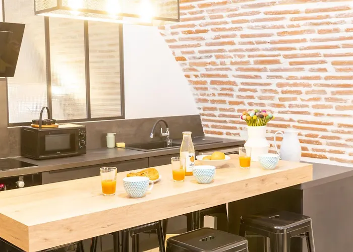 Le Rinaldi Loft * Albi